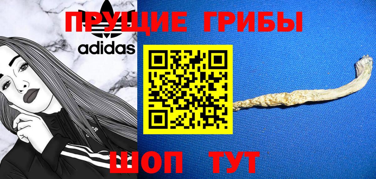 Галлюциногенные грибы GOLDEN TEACHER  Галлюциногенные грибы Psilocybine cubensis  Красногорск  Вход с VPN 